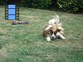 2010-06-26 19 M